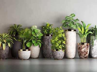 Bonsai Potted Plants with Various Material Flowerpots and Different Leaf Shapes for Indoor 3d model