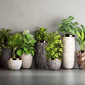 Bonsai Potted Plants with Various Material Flowerpots and Different Leaf Shapes for Indoor