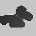 Black And White Spotted Butterfly Game Character Flying In Animated Scene