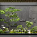 Natural Indoor Landscape With Gray Wall Small Tree Ferns Stones And Lush Moss