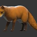 Modern Fox Animal Wild Animal Wild Fox 3d model