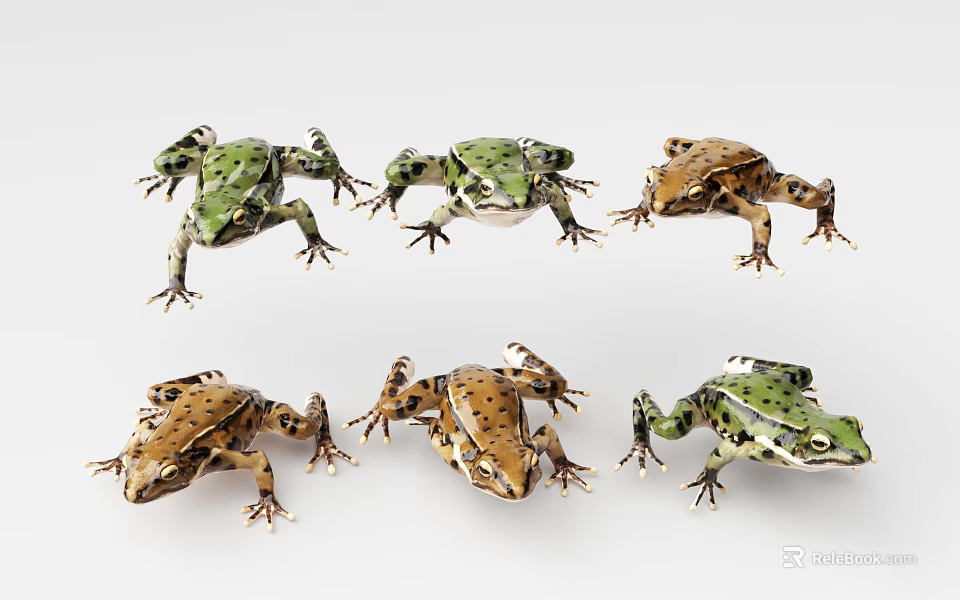 Colorful Frogs With Green And Brown Hues In Various Poses On White Background 3d model 