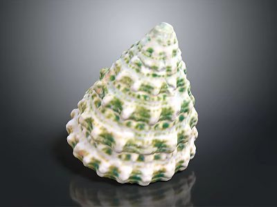 Marine Mollusk With White And Green Conical Wavy Raised Shell On Black Background With Reflection 3d model