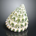 Marine Mollusk With White And Green Conical Wavy Raised Shell On Black Background With Reflection