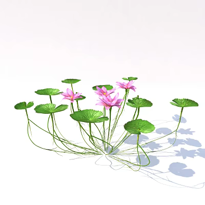 Modern Lotus 3d model