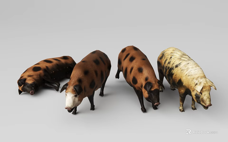 Realistic Pig Models With Different Postures And Colors 3d model 