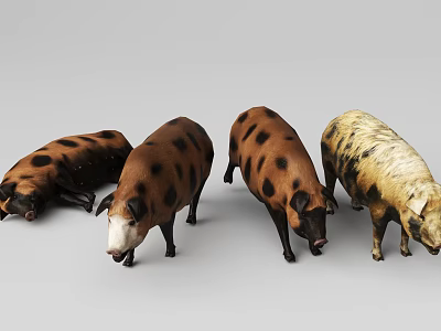 Realistic Pig Models With Different Postures And Colors 3d model