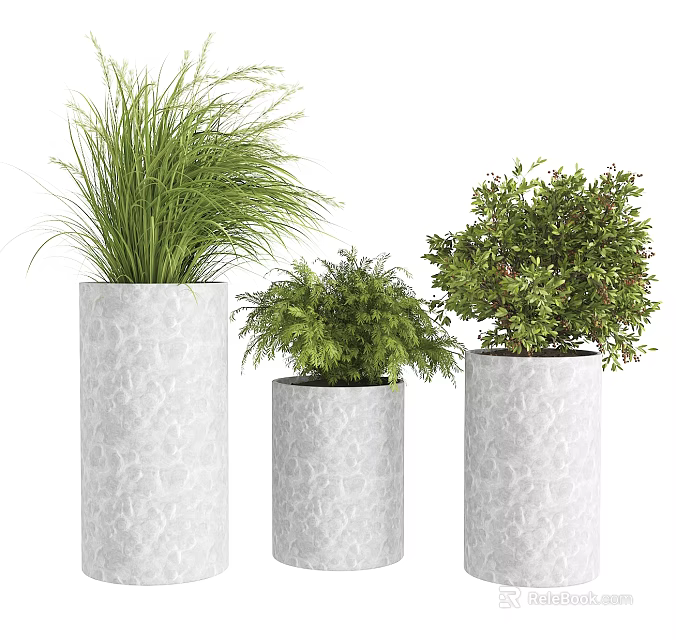 Bonsai Potted Plants In Textured Cylindrical Pots Of Different Sizes With Green Foliage 3d model 