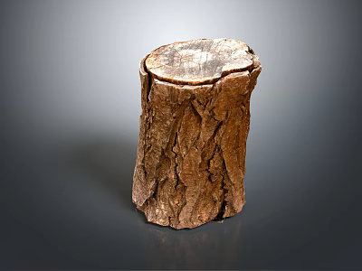 Natural Wooden Stump with Rough Bark Texture for Decorative Use 3d model