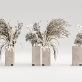 Dried Flowers In Three Concrete Vases For Modern Decorative