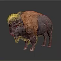 Majestic Bison Standing With Brown And Dark Fur On Reflective Surface