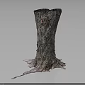 Natural Wood Stump With Intricate Root Structure And Stone Accents