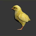 Cute Yellow Chick Standing on Reflective Surface with Orange Beak and Feet