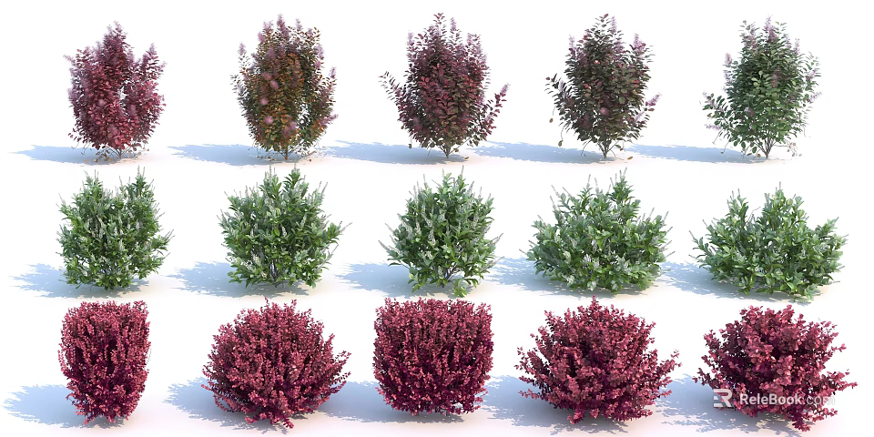 Various Colorful Garden Shrubs With Green And Purple Foliage And Rounded Shapes 3d model 