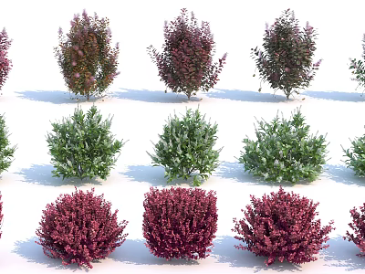 Various Colorful Garden Shrubs With Green And Purple Foliage And Rounded Shapes 3d model