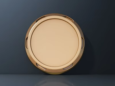 Modern Round Ceiling Light with Gold Frame Simple Design and Elegant Finish 3d model