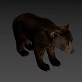 Realistic Brown Bear Game Movie Character With Furry Fur And Standing Stance