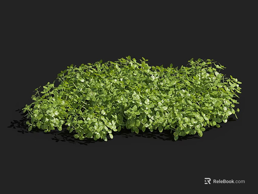 Lush Green Vibrant Aquatic Plants With Dense Leafy Foliage And Healthy Growth 3d model 