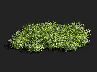 Lush Green Vibrant Aquatic Plants With Dense Leafy Foliage And Healthy Growth 3d model