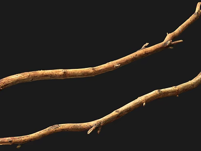 Rustic Natural Wooden Branches With Organic Texture On Black Background 3d model
