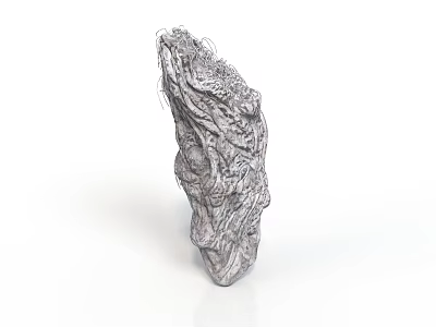 Unique Plant With Intricate Textured Surface And Natural Green Foliage Growth 3d model
