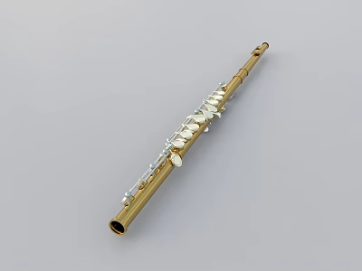 Golden Flute Musical Instrument With Silver Keys And Brass Body Design 3d model