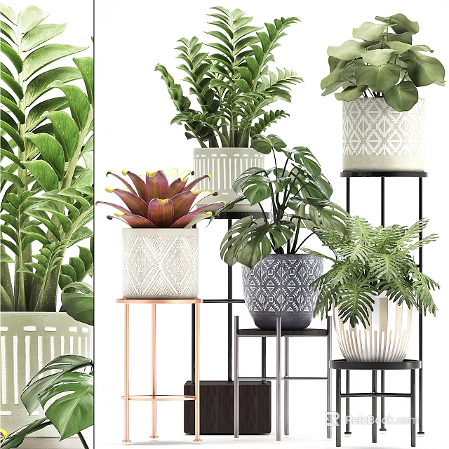 Various Green Potted Plants in Decorative Patterned Pots on Metal Stands 3d model 
