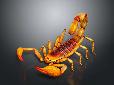 Shiny Orange Brown Reptile Scorpion With Large Pincers And Curved Tail On Dark Background 3d model
