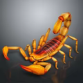Shiny Orange Brown Reptile Scorpion With Large Pincers And Curved Tail On Dark Background
