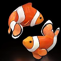 Two Clownfish Aquatic Animals With Orange And White Stripes On Black Background