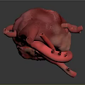 Human Thoracic Organ Heart 3D Anatomical Model With Blood Vessels Structure