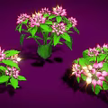 Vibrant Plant Clusters With Pink Flowers And Green Leaves On Purple Background