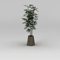 Innovative Tech Exhibition Hall With Bamboo Plant In Wooden Pot