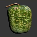 Fresh Green Yellow Spotted Melon with Brown Stem on Black Surface