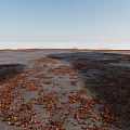 Autumn Fallen Leaves Scattered On Gray Ground With Red And Yellow Colors