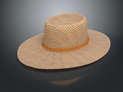 Modern Hat Sun Hat Straw Hat 3d model