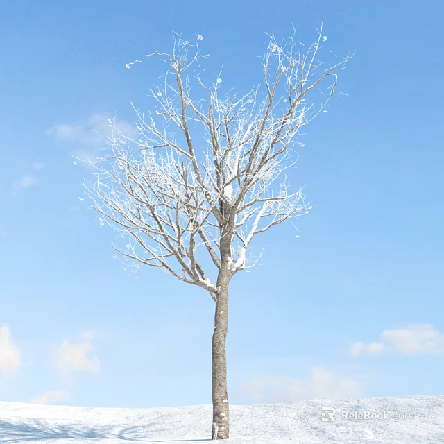 Leafless Tree With Straight Trunk Snow Covered Branches Against Blue Sky And White Clouds 3d model 