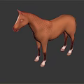 Brown Horse With White Hooves And Facial Marking Standing On Dark Background With Reflection