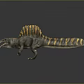 Spinosaurus Dinosaur Model With Sail Back Striped Body Open Mouth Gray Background Reflection