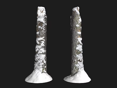 Two Stone Wood Pillars Covered With Snow On Black Background 3d model