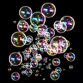Colorful Soap Bubbles Floating on Black Background with Iridescent Hues