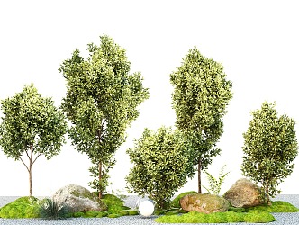 Modern green trees, landscape trees, courtyard trees, street trees 3d model