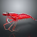 Red Shrimp Aquatic Animal With Detailed Body Structure And Transparent Legs