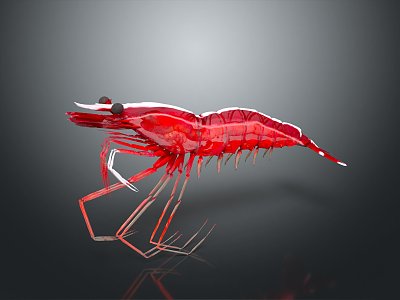 Modern Lobster Large Lobster Pacific Cleaning Shrimp Crystal Lobster 3d model