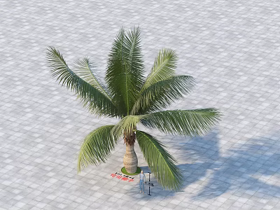 Tall Palm Tree on Gray Paved Ground with Red Mat and Two Chairs 3d model