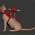 Sphynx Cat With Blue Harness And Red Spiked Ball Attached By Chain