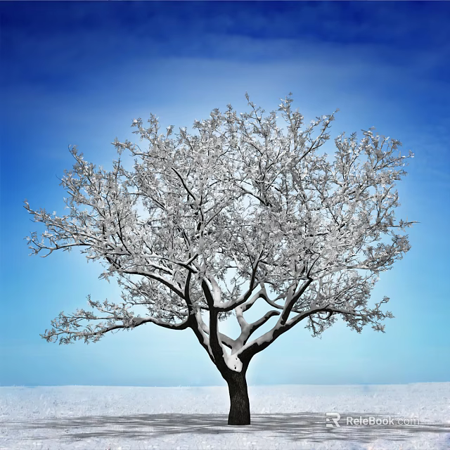 Snow Covered Tree With White Branches Against Clear Blue Sky 3d model