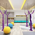 Bright Fitness Studio With Yoga Balls Yoga Mats Purple Equipment And Wooden Flooring For Workout