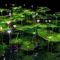 Garden Landscape With Green Lily Pads And Pink Purple Lotus Flowers On Water Surface