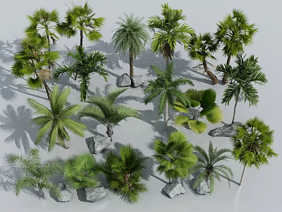 Various Types of Palm Trees with Stones in Natural Arrangement 3d model